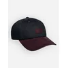 REELL Arc Suede Cap black