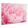 IR panel MySun Art - C07