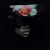 Paper Dollhouse - Aeonflower (LP)