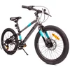 shumee 20-palčno kolo za fanta, lahko gorsko kolo Shimano 6 prestav Verdant Alder