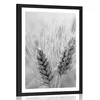Plakat s paspartujem pšenično polje v črnobeli varianti - 20x30 black