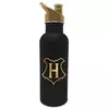 Harry Potter (Id Rather Be At Hogwarts) Metal Canteen Bottle