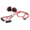 SEDCO Sedco Door Gym R120