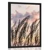 Plakat trava ob zahajajočem soncu - 40x60 black