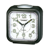 Casio clocks wakeup timers ( TQ-142-1 )