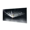 tulup.si Slika na akrilnem steklu Drop regrat makro 140x70 cm 2 obešalnika