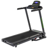 Tunturi Cardio Fit T40 tekalna steza
