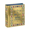 LA BELLE AU BOIS DORMANT - Le Grimoire - Disney Princesses