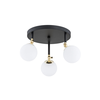Argon 1436 - Plafonski luster za kupatilo LATINA 3xE14/40W/230V IP44