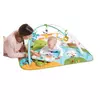 TINY LOVE Gimnastika KICKandPLAY