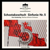 SCHOSTAKOWITSCH:SINFONIE NR.5/SANDERLING