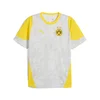 Mens Puma Borussia Dortmund Training Jersey, Gray, Size XL, Sport