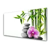 tulup.si Slika na steklu Spa zen bamboo art 120x60 cm 2 obešalnika