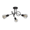 Plafonski luster OXFORD 3xE27/15W/230V