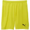 Kratke hlače Puma teamGOAL Shorts