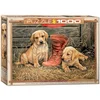 Eurographics Something Old Something New by Rosemary Millette 1000-Pieces Puzzle 6000-0795
