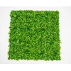 Zeleni zid 3D Amazon 2, 100x100 cm