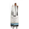 Princeton Brush Aqua Elite Komplet čopičev 4 kos.