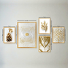 WALLXPERT SET_130