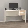 Hanah Home radni sto Ruby Desk, 120 cm, Moonstone / orah