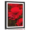Plakat s paspartujem polje divjega maka - 40x60 no frame