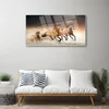 tulup.si Steklena slika Konji živali 125x50 cm 4 obešalnika