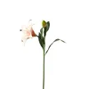 LJILJAN