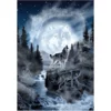 AnaTolian Moon Wolf Puzzle 500 kosov