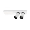 LED plafonsko spot svetlo BERGEN 2xLED/11W/230V