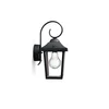 PHILIPS Zidna lampa Buzzard 1x60W 230V