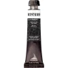 Maimeri Varnish Restauro Restauracijska barva Zinc White 020 20 ml 1 kos