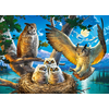 Castorland - Puzzle Owl Family - 120 - 180 kosov