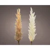 Pampas sa LED lampicama/baterije 485990