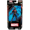 HASBRO Marvel Hasbro Legends Series Future Ant-Man, akcijske figurice Comics Legends, 6, (20838815)