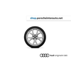 AUDI ZIMSKI KOMPLET- AUDI A3 - Audi 5-Y-Speichen-D. 19- 4 KOSI