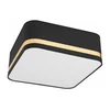 Plafonsko svetlo SIRJA SQUARE 2xE27/60W/230V 35x35 cm crna