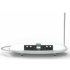 MOOG THEREMINI