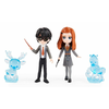Harry Potter Harry in Ginny s pokrovitelji
