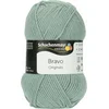Schachenmayr Bravo Originals 08378 Sea Green