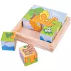 Bigjigs Toys Obrázkové kocky kubusy Dinosaury 9 kociek