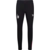 Castore Hlače Castore Feyenoord Rotterdam Prematch Pants 2024/25 Kids