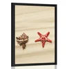 Plakat školjke na peščeni plaži - 20x30 no frame