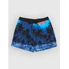 Quiksilver Everyday Printed Volley 15 kopalne hlače monaco blue thermotropics