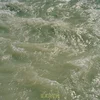 Musique Infinie - Earth (Limited Edition) (LP)