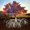 Robert Plant - Digging Deep: Subterranea (2 CD)