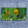 tulup.si Slika na akrilnem steklu Ribe, alg narava 140x70 cm 4 obešalnika