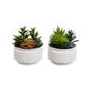 Umetne rastline v kompletu 2 ks (višina 19 cm) Cactus – Casa Selección