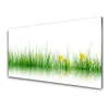 tulup.si Slika na steklu Narava grass flowers 140x70 cm 2 obešalnika