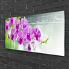 tulup.si Slika na steklu Orhideje narava drops 120x60 cm 4 obešalnika