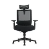 Ergonomska kancelarijska stolica UGD Premium Mesh